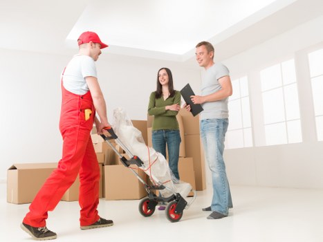 Packing materials and organized moving boxes for Sydenhamhill removals