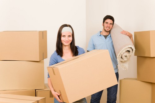 Fragile item packing support for moves in Sydenhamhill